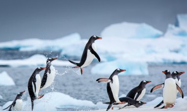 5 Easy Ways You Can Turn Future Into Success