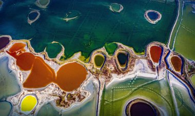 5 Easy Ways You Can Turn Future Into Success