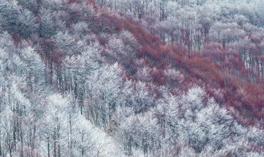 5 Easy Ways You Can Turn Future Into Success