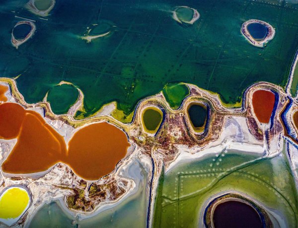 5 Easy Ways You Can Turn Future Into Success